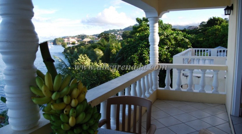 Balcony with Bananas